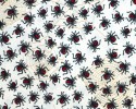Down Under Red Back Spiders on CREAM Background redback spider
